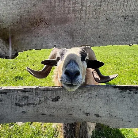 Zacisze Osmiu Stawow - The Quort Of Eight Pounds