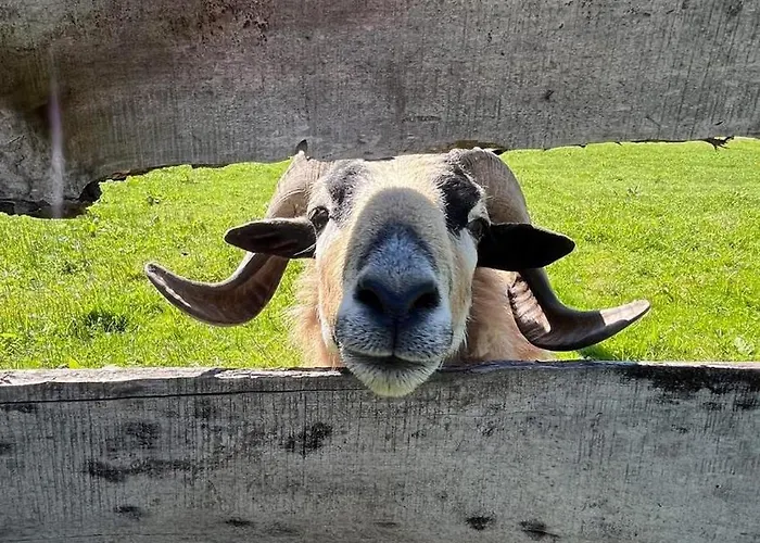 Zacisze Osmiu Stawow - The Quort Of Eight Pounds